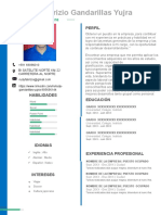 60 Curriculum Vitae Con Foto