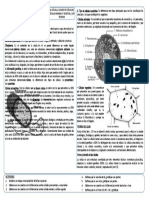 Ficha de CTA 1ro Sec