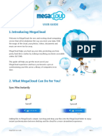 MegaCloud User Guide PDF