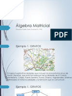 Programa Curso Álgebra Matricial