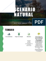 Unidad 2 Escenario Natural