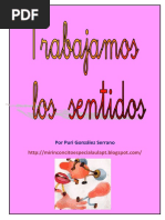 Los Sentidos