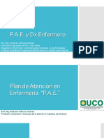 PAE Dx NANDA NIC y NOC.pdf