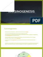 Karsinogenesis Prof Elza