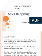 Sales Budgeting: Sales and Distribution Management