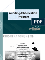 2. Auditing-Observation