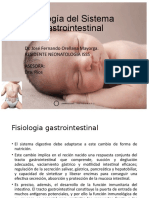Fiologia Sistema Gastrointestinal