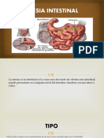 artesia-intestinal
