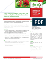 Eco 88 PDF