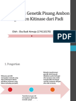 Transformasi Genetik Pisang Ambon Dengan Gen Kitinase Eka