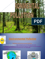 environmentppt-121202081136-phpapp02.pdf