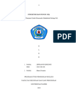 Sel Prokariotik Dan Eukariotik