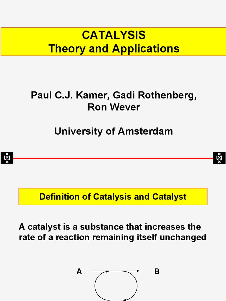 Introduction To Catalysis Pdf Catalysis Enzyme