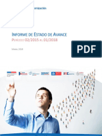 Informe de Avance 2015-2017 - Final