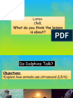 8ld-Part 2-Do Dolphins Talk