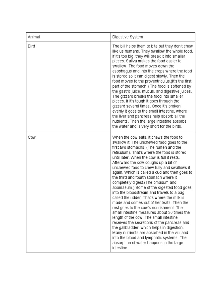 Animal Digestive Systems Compared | PDF | Digestion | Human Digestive ...