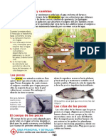 Lecto5 PDF