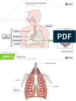 Clase 3 PDF