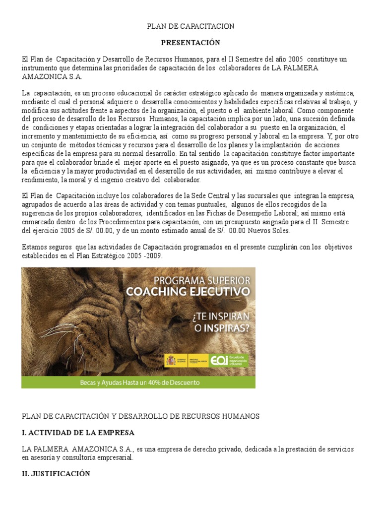 Modelo de Un Plan de Capacitacion | PDF | Gestión de recursos humanos ...