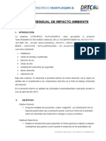 Informe de Impacto Ambiental Huaylasjirca