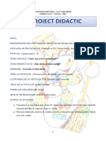 proiect_didactic_dosed_societate_grad_i.docx