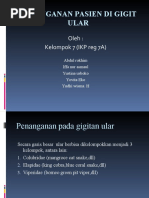 Download KEGAWATDARURATAN PADA PASIEN DIGIGIT ULAR by Widya_Ciwied_4541 SN45194671 doc pdf