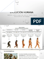 Evolución Humana Linea de Tiempo