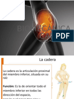 Biomecanica Cadera