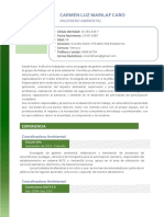 Curriculum Tipo PDF