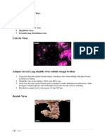 Kerangka Materi Covid 19 Materi 1 PDF