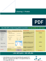 Chuong 1.protein PDF