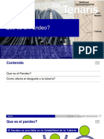 Que Es El Pandeo PDF