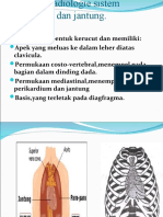 Anatomi Radiologi Sistem Pernapasan dan Jantung