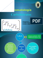 CARBOHIDRATOS.pptx