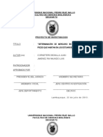 bromatologia proyecto.docx