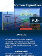 Hormon-Hormon Reproduksi