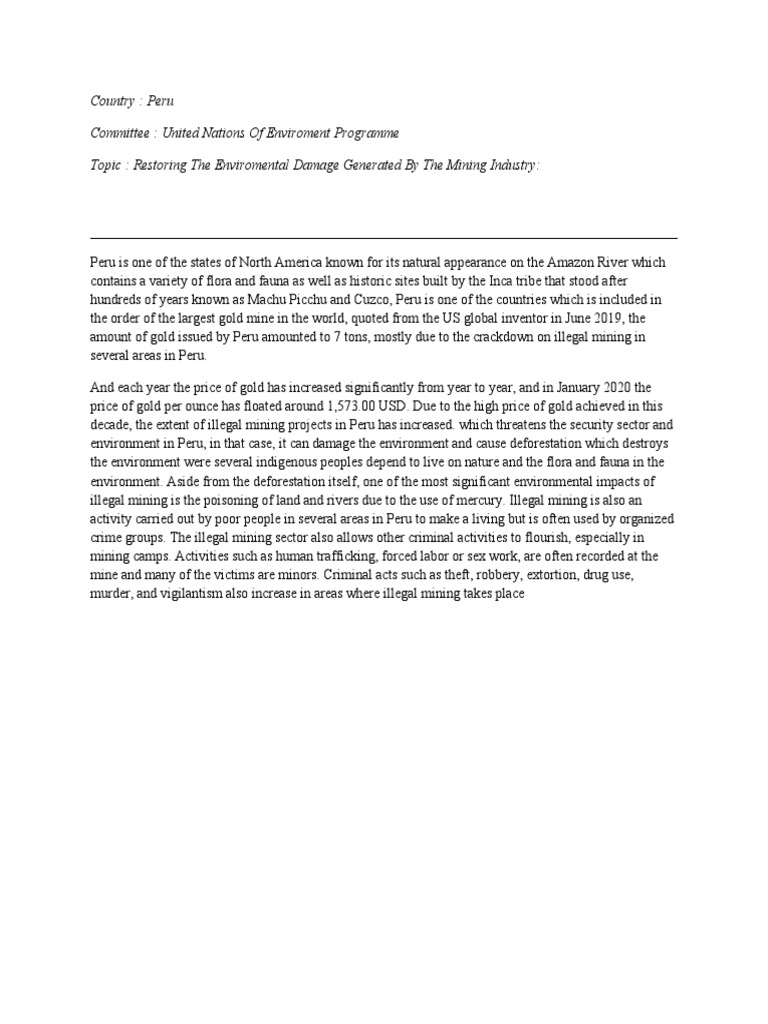 position paper UNEP