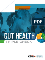 Ruminant Gut Health Triple Check Brochure PTP-198 PDF