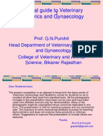 Pict guide to Vet Obs and Gynaecology.pdf