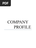 company profile aai.docx