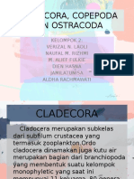 Cladecora, Copepoda Dan Ostracoda