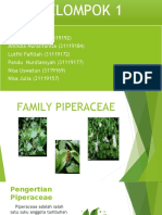 Piperaceae] KELOMPOK 1