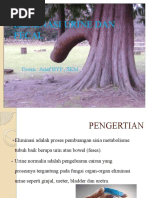 Download Eliminasi Urine Dan Fecal by Al- Musthafa SN45200523 doc pdf