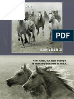 No te rindas - Caballos-converted.pdf