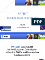 Bringing Smes To Excellence: Patent