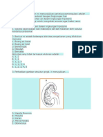 Sist. Eskresi Soal Biologi Gonzaga