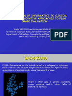 A Contribution of Informatics To Clinical Oncology: Innovative Approaches To Fish Image Evaluation