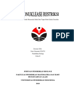 Download ENDONUKLEASE RESTRIKSI by Desti Herawati SN45202815 doc pdf