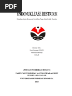Download ENDONUKLEASE RESTRIKSI by Desti Herawati SN45202815 doc pdf