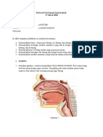 Tugas Praktikum Laring Faring